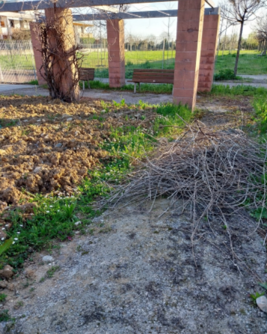 Terreno dissestato al Parco delle Fragole di Colognola, il Comune: «Già sollecitato il ripristino»