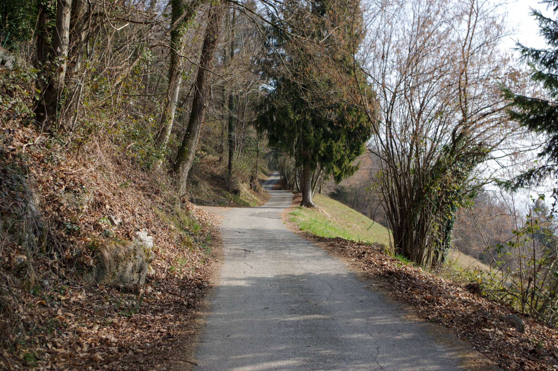1 - Strada carrabile in direzione di Alino