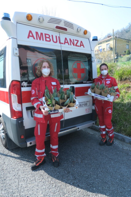 Un bouquet di tulipani freschi, per aiutare la Croce Rossa: torna l’iniziativa con Tulipania