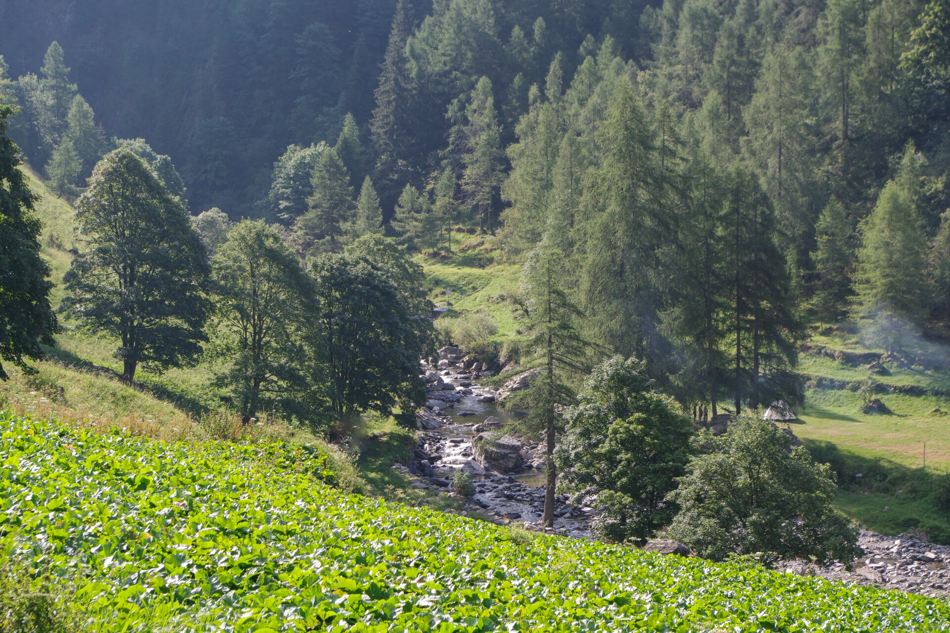 2 - Il fiume Brembo