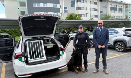 Un nuovo mezzo per trasportare Tenai, il cane dell'unità cinofila: ora molte più funzioni