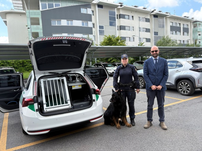 Un nuovo mezzo per trasportare Tenai, il cane dell’unità cinofila: ora molte più funzioni