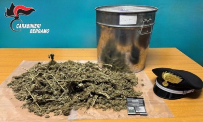 I carabinieri intervengono per una lite ma scoprono seicento grammi di marijuana