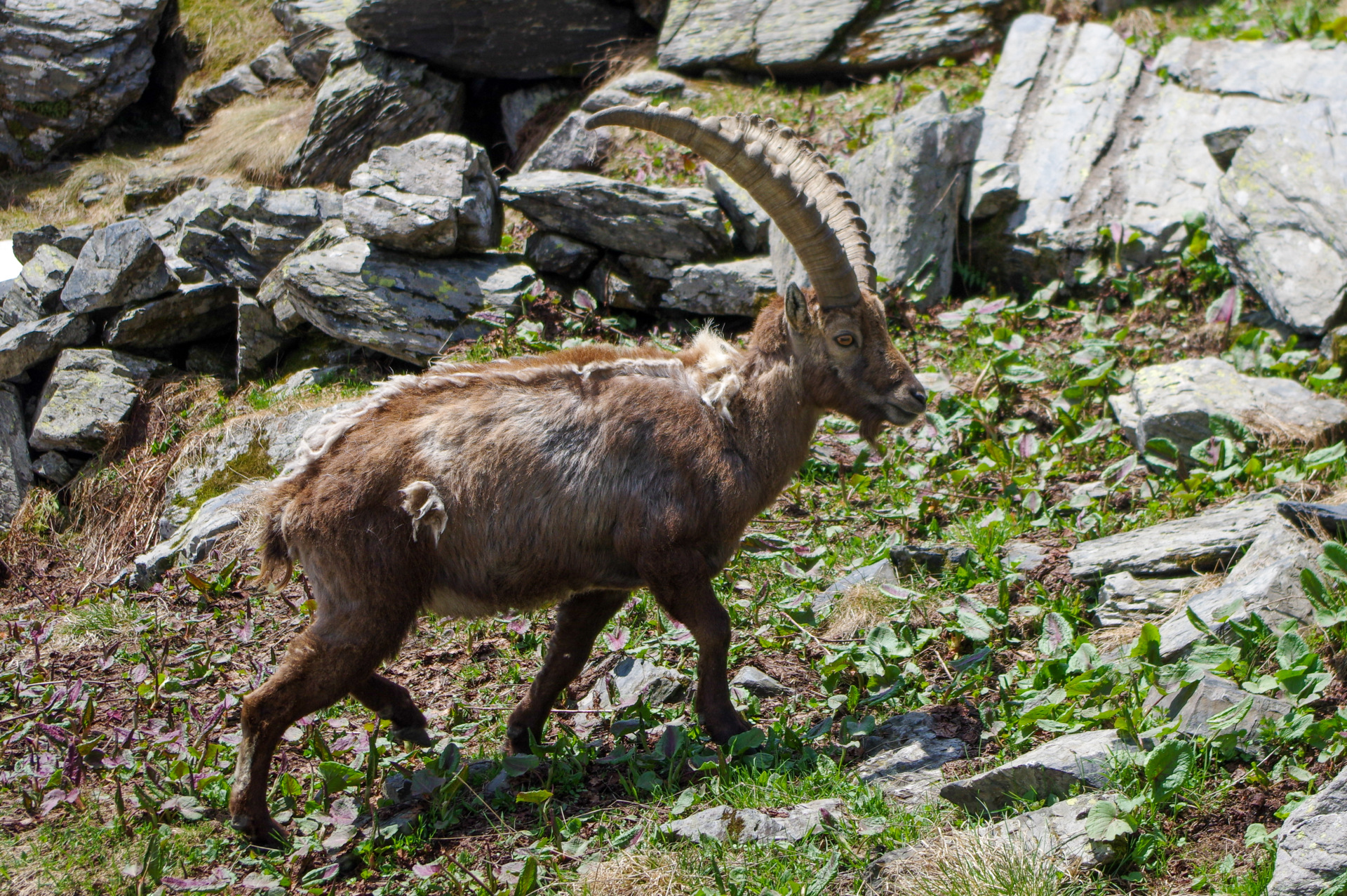 5 - Gita al rifugio Coca