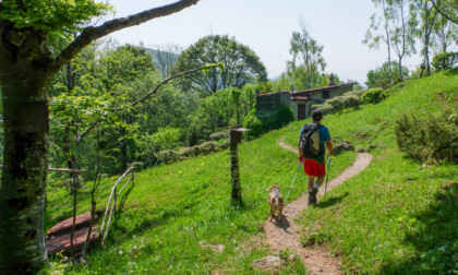Non altissimi, ma immersi in bellezze dimenticate: sono il monte Zucco e il pizzo Cerro