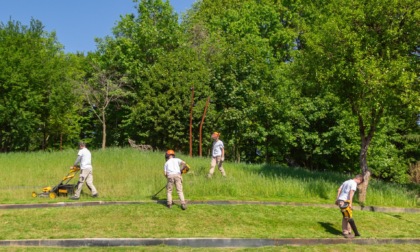 I giovani allievi dell'Engim Lombardia Ets si prendono cura dei Giardini Pwc della Carrara