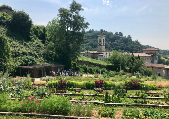Verde urbano investimento per il futuro: conferenza all’Orto Botanico di Bergamo