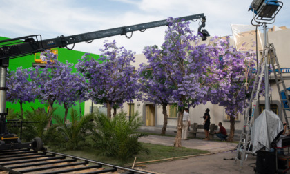 C’è una giungla bergamasca (fatta a Zanica) nel nuovo film di Guadagnino