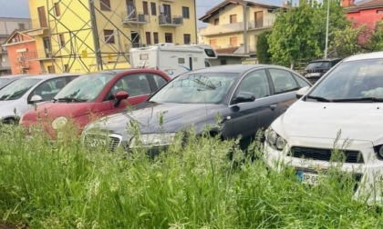 «Ma il Comune non taglia l'erba?». E la sindaca di Lallio decide di ribattere sui social