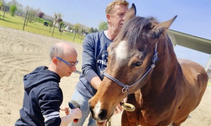 A Comun Nuovo «assaggi di normalità» grazie a cani e cavalli per i ragazzi di Rataplan