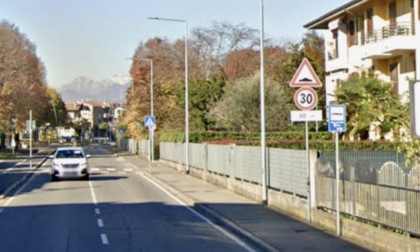 L'appello di una residente: «Auto di corsa a Osio Sopra, troppi gatti morti sulla strada»