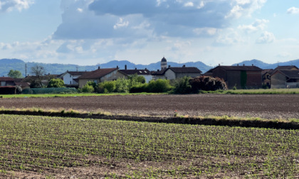 Calo delle imprese agricole in provincia di Bergamo: giù del 3,7 per cento in dieci anni