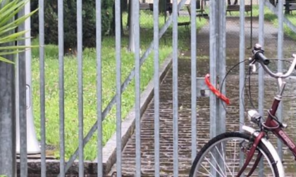 Sopralluogo di Carrara (Lega) ai giardinetti di Borgo Palazzo a Bergamo: «Aree verdi chiuse e inaccessibili da mesi»