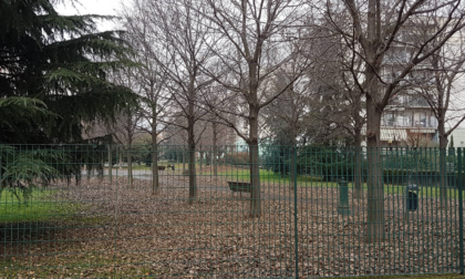 Lancia la bici e aggredisce la polizia locale a Bergamo: spacciatore neutralizzato con spray