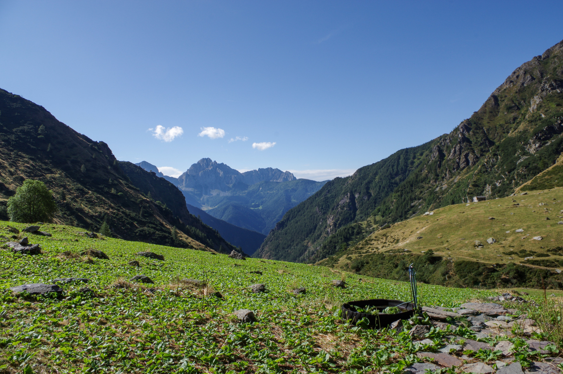4 - Gita rifugio Tagliaferri