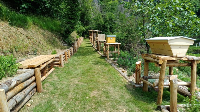 Le api trovano nuova casa: apre il nuovo parco apistico dell’Orto Botanico di Astino