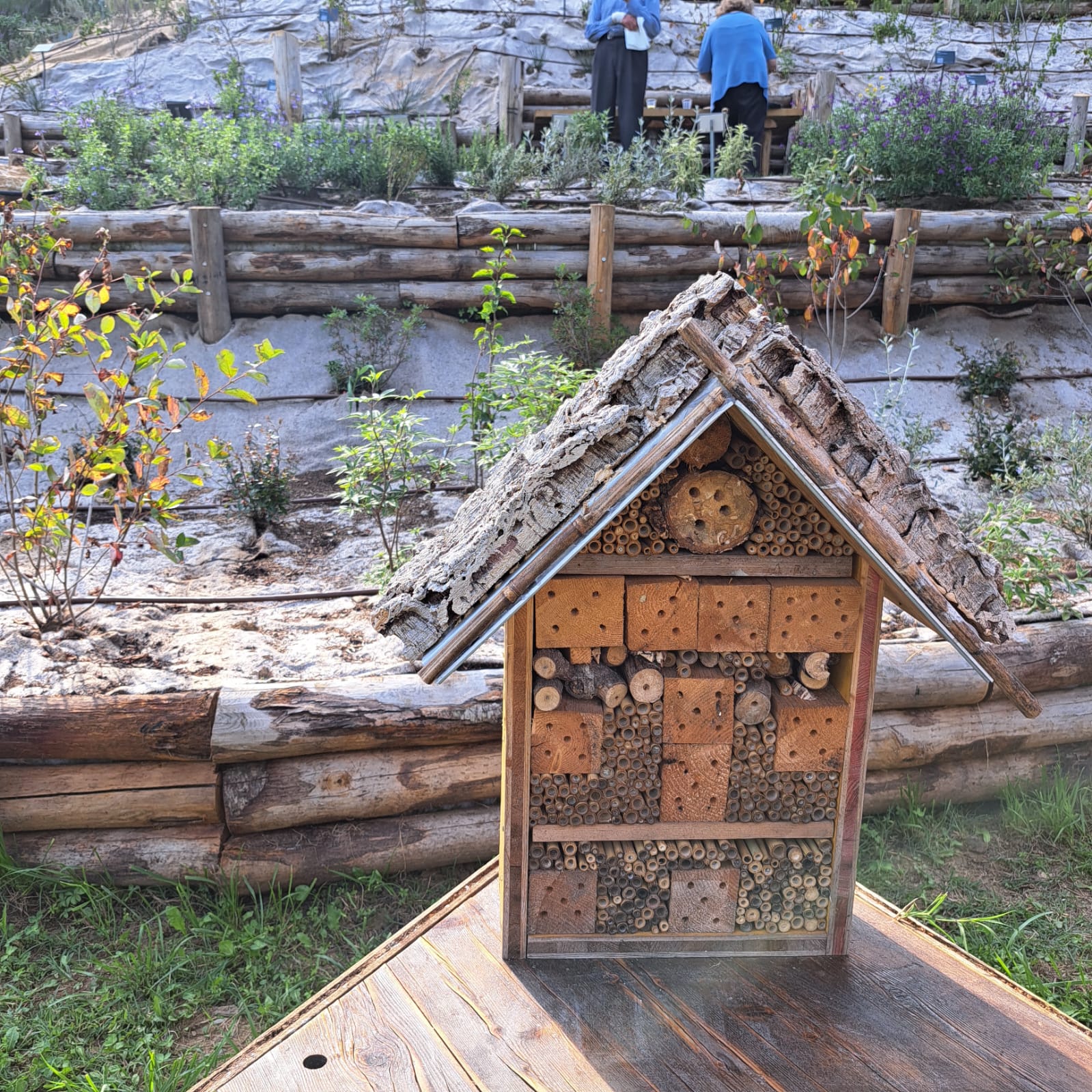 Beehotel