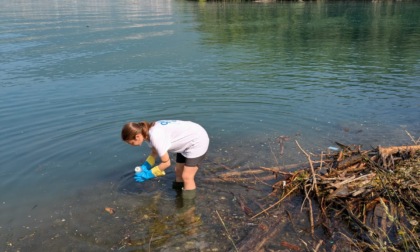 Pessime notizie per il lago d'Iseo: su 5 punti controllati, 4 sono fortemente inquinati