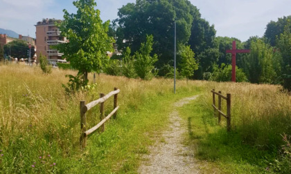 Erba alta a Torre Boldone? Il Comune spiega: non è incuria, ma una scelta ecologica