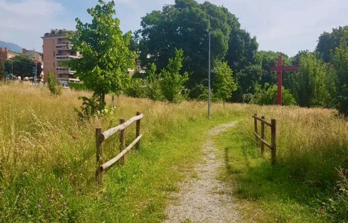 Erba alta a Torre Boldone? Il Comune spiega: non è incuria, ma una scelta ecologica
