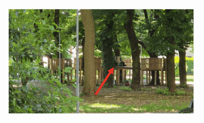 «Cattive frequentazioni» al parco avventura della Malpensata: perchè non spostarlo?