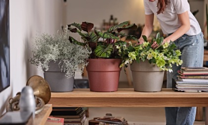 Vasi decorativi da interno: come scegliere il design giusto per ogni ambiente