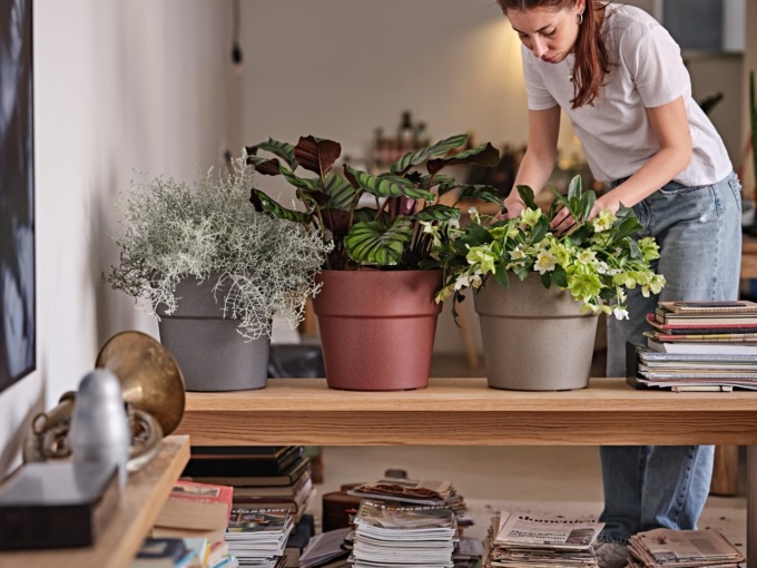Vasi decorativi da interno: come scegliere il design giusto per ogni ambiente