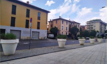 Quanto rumore, a Bergamo, per delle erbacce... Pardon, delle erbacee perenni