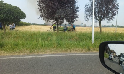 Il video dell'incendio scoppiato nei campi a Comun Nuovo a causa del troppo caldo