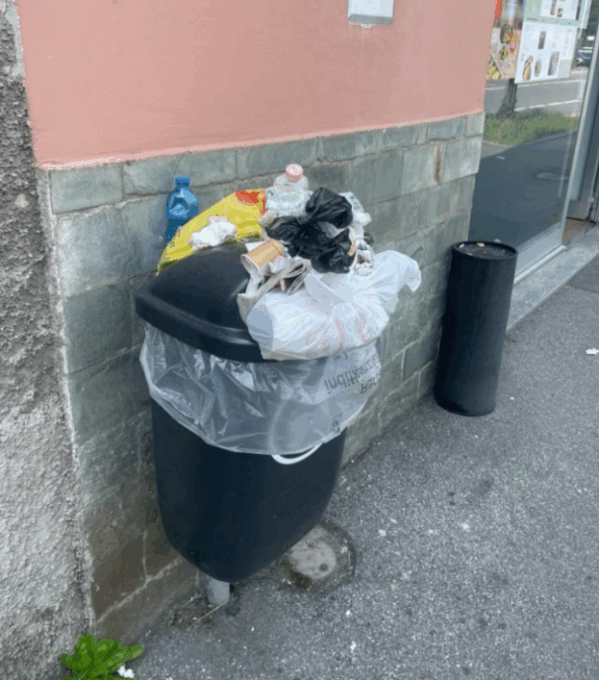 L’assessora Ruzzini risponde a Carrara (Lega): «I cestini tolti non ritorneranno, quelli presenti sono sufficienti»