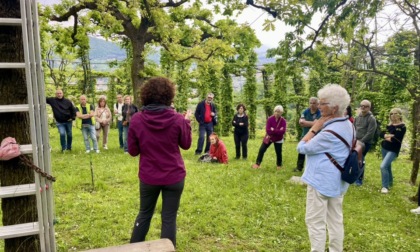 "Notte bianca dell'ambiente" a Bergamo: quanti eventi! C'è l'imbarazzo della scelta