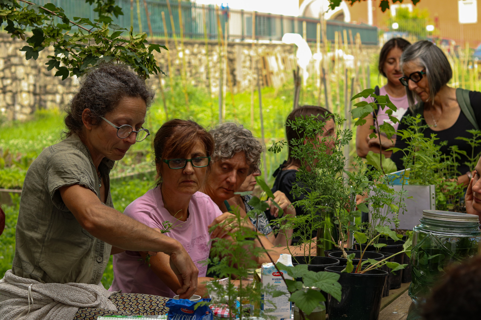 laboratori