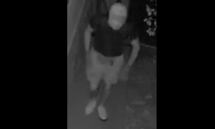 Basella di Urgnano nel mirino dei ladri, un colpo sventato grazie all'antifurto