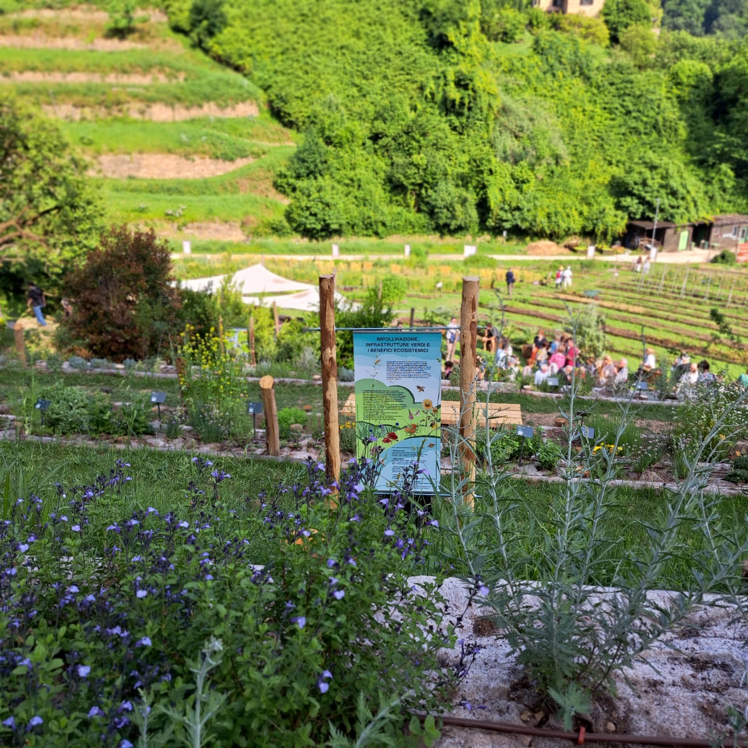 pannello Parco apistico