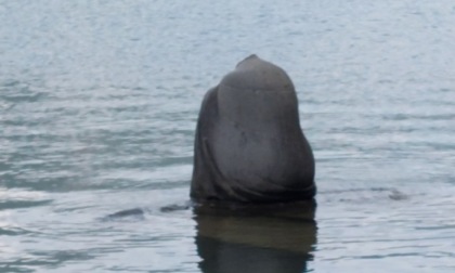 Decapitata la Dama del lago di Paratico: trovati i responsabili. Il restauro affidato a uno scultore di Grumello