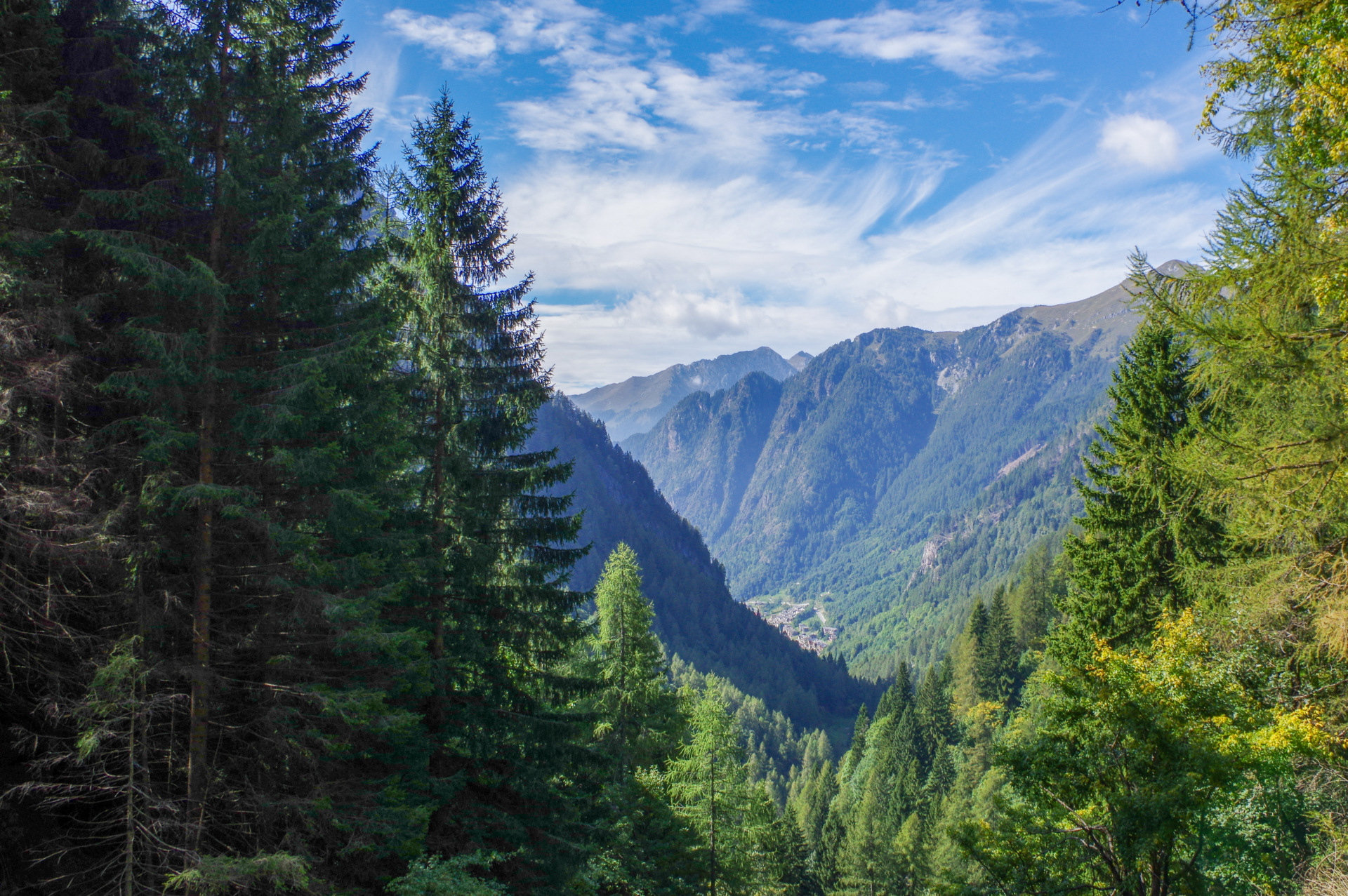 1 - Nel bosco