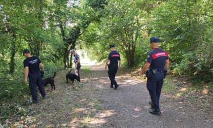 Un cane è stato avvelenato da sostanze stupefacenti: stava passeggiando alla Maresana