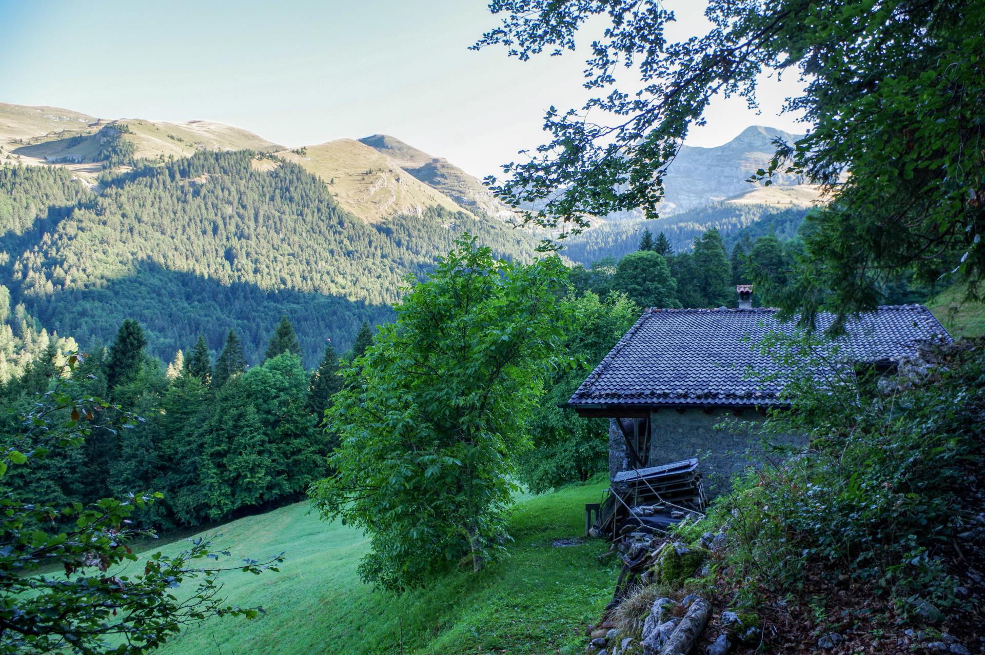 3 - Scorci nel bosco