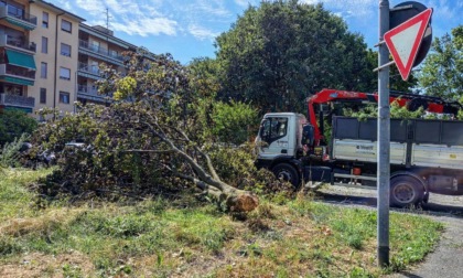 Sono diventati 14 i parchi chiusi a Bergamo per motivi di sicurezza