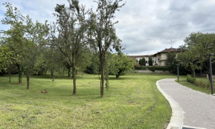 Il parco Suardi si allarga agli orti di San Tomaso: aperto il collegamento