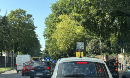 Albero caduto al Parco Suardi: pericolo scampato di poco e traffico in tilt