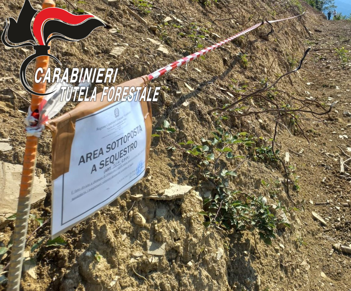 Area destinata a vigneto sequestrata