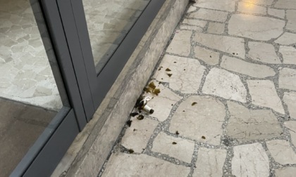 Galleria Fanzago, parla un cittadino: «Le autolinee ora sono perfette, ma a 200 metri vige il degrado»