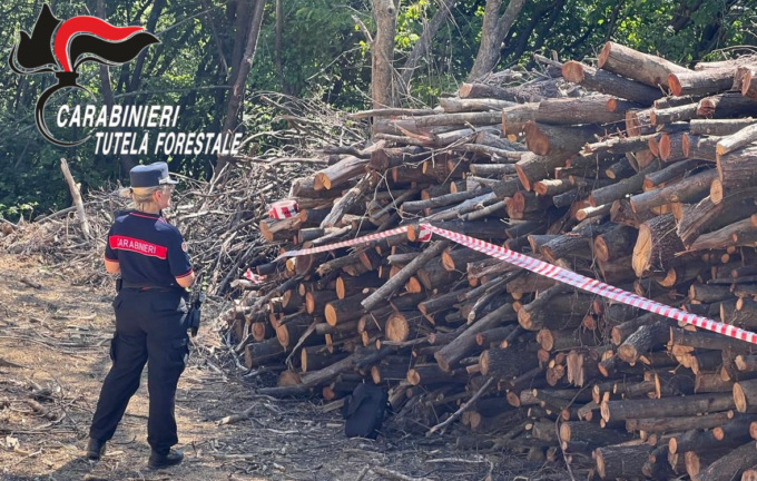 Agricoltore della Valcalepio disbosca terreno per farci un vigneto, ma non aveva i permessi