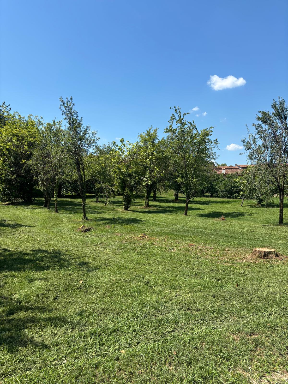 Orti S.Tomaso 1