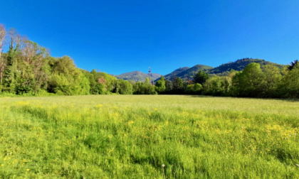 Ex Valticino, le associazioni di Alzano Lombardo vogliono fermare il cemento