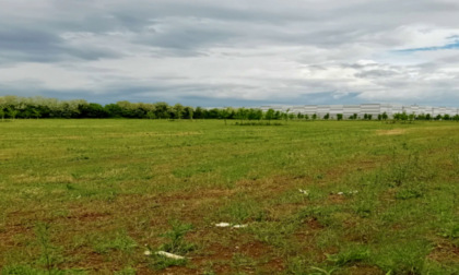 Il Comitato di tutela ambientale di Osio Sotto chiede più attenzione per il verde