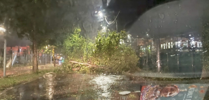 Maltempo, alberi abbattuti a Ponte San Pietro: ma allora aveva ragione il sindaco Macoli?