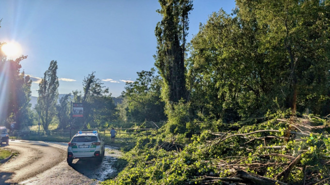 Con il maltempo decine di piante cadute… e rimosse in poche ore ad Alzano Lombardo