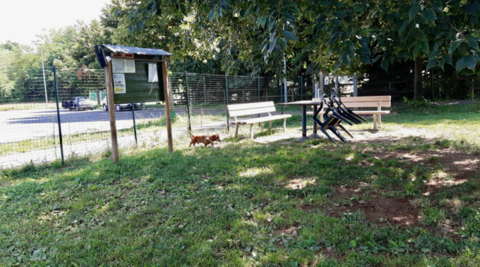 Un’area cani tutta nuova a Seriate. E il Comune lavora per migliorare le altre